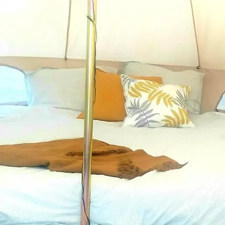 Back To Nature. Luxury Glamping Corner *