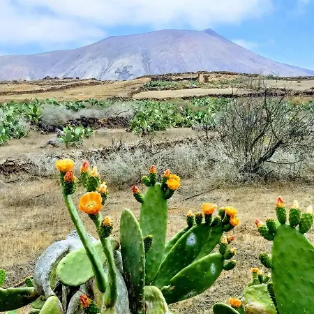 Luxury tent Back To Nature. Luxury Glamping Corner Villaverde (Fuerteventura)