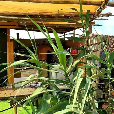 Back To Nature. Luxury Glamping Corner Luxury tent
